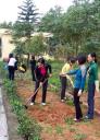 3_n 350 x 484 .jpg - 